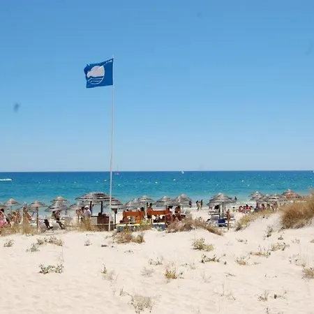 Daire 15min Walk To Cabanas Center, Pool, Wifi, Bbq And Air-conditioning